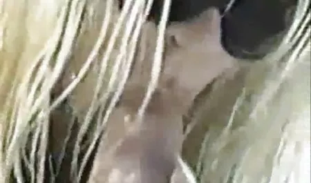 بچه ها سکس خوراکی را فیلم سوپر زن شوهردار در آشپزخانه انجام دادند