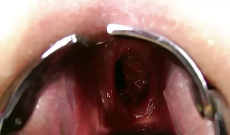 کار سکس شوهر نمی کند